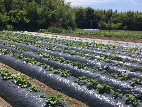 A17c9aaa61e80a1bf71d0d850af4e5baa9800bbd