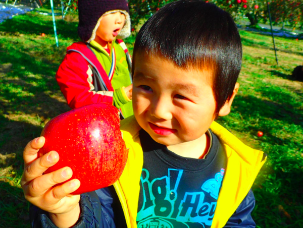 A17c9aaa61e80a1bf71d0d850af4e5baa9800bbd