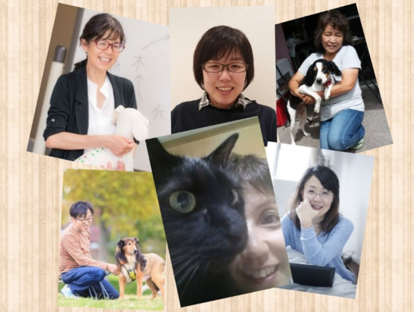 A17c9aaa61e80a1bf71d0d850af4e5baa9800bbd