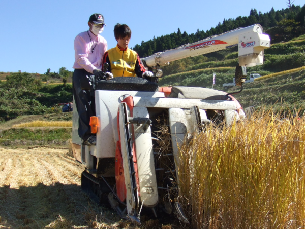 A17c9aaa61e80a1bf71d0d850af4e5baa9800bbd