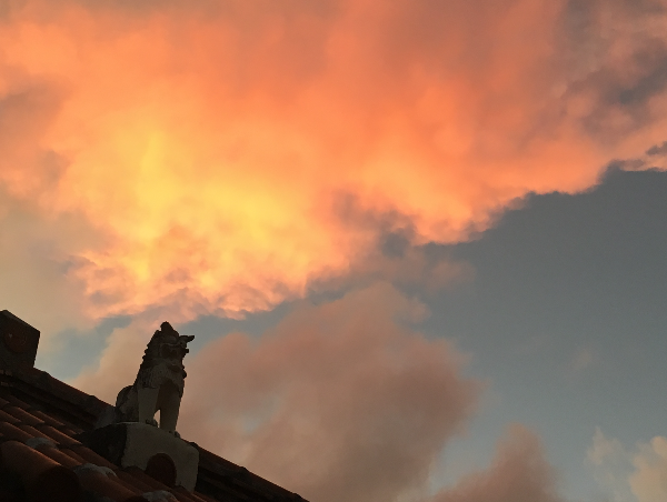 A17c9aaa61e80a1bf71d0d850af4e5baa9800bbd