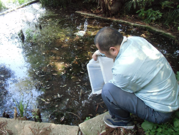 A17c9aaa61e80a1bf71d0d850af4e5baa9800bbd