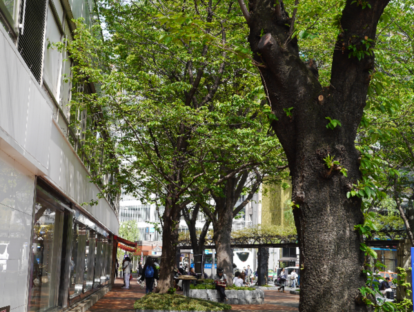 A17c9aaa61e80a1bf71d0d850af4e5baa9800bbd