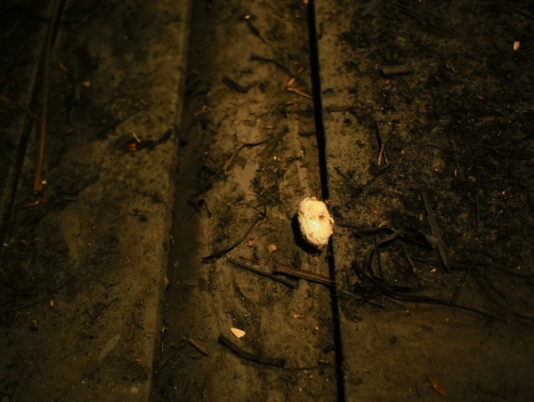 A17c9aaa61e80a1bf71d0d850af4e5baa9800bbd