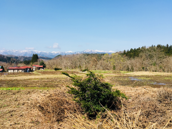 A17c9aaa61e80a1bf71d0d850af4e5baa9800bbd