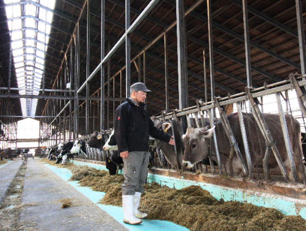 A17c9aaa61e80a1bf71d0d850af4e5baa9800bbd