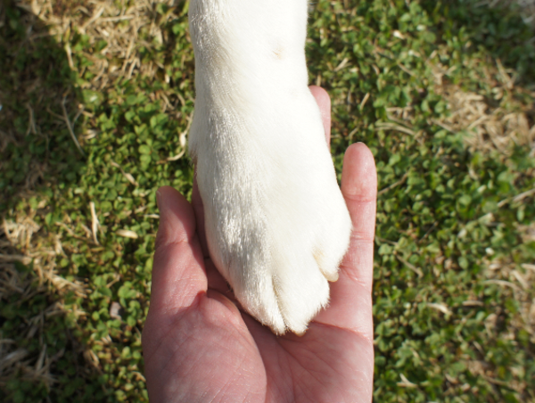 A17c9aaa61e80a1bf71d0d850af4e5baa9800bbd