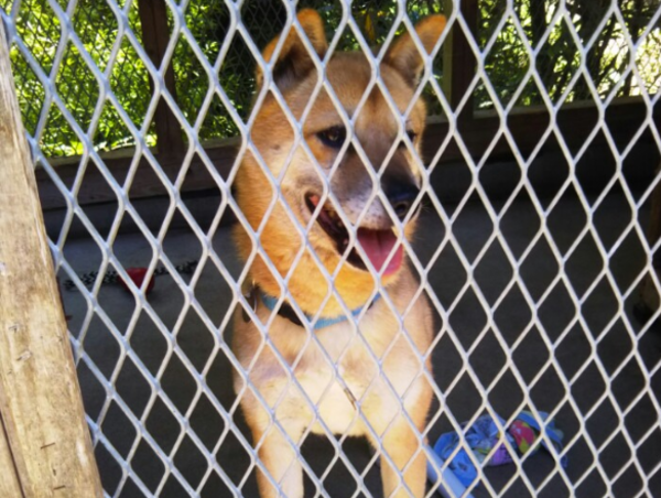 A17c9aaa61e80a1bf71d0d850af4e5baa9800bbd