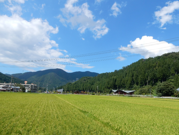 A17c9aaa61e80a1bf71d0d850af4e5baa9800bbd