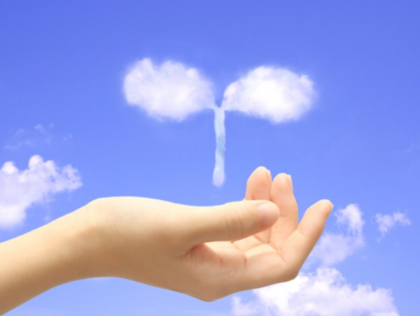 A17c9aaa61e80a1bf71d0d850af4e5baa9800bbd