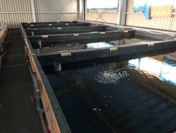 A17c9aaa61e80a1bf71d0d850af4e5baa9800bbd