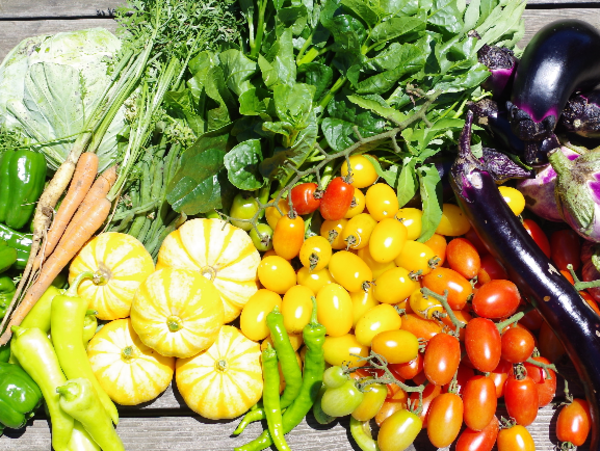 A17c9aaa61e80a1bf71d0d850af4e5baa9800bbd