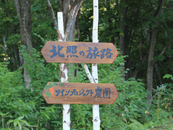 A17c9aaa61e80a1bf71d0d850af4e5baa9800bbd