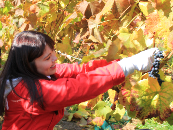 A17c9aaa61e80a1bf71d0d850af4e5baa9800bbd