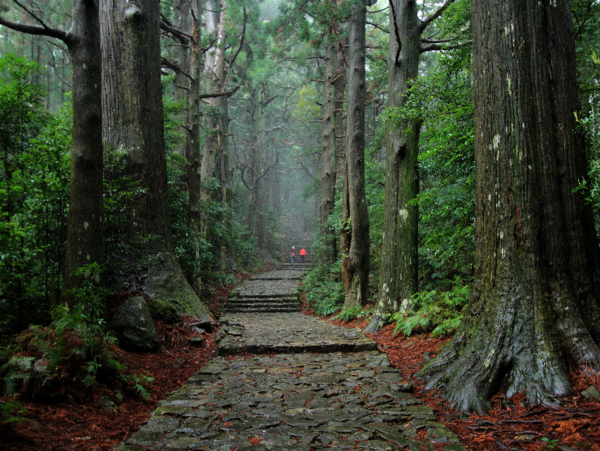 A17c9aaa61e80a1bf71d0d850af4e5baa9800bbd