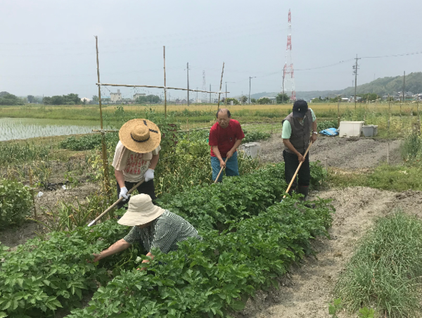 A17c9aaa61e80a1bf71d0d850af4e5baa9800bbd