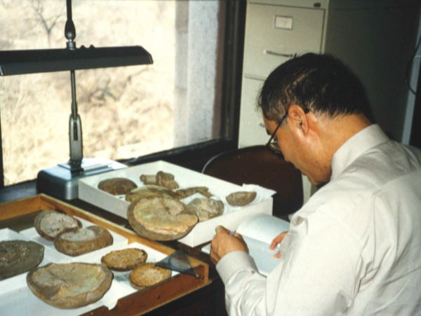 A17c9aaa61e80a1bf71d0d850af4e5baa9800bbd