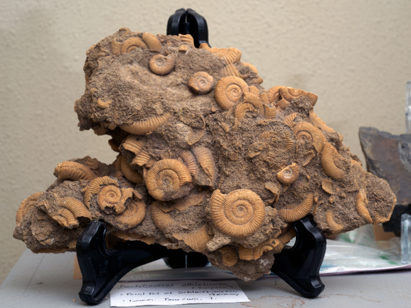 A17c9aaa61e80a1bf71d0d850af4e5baa9800bbd