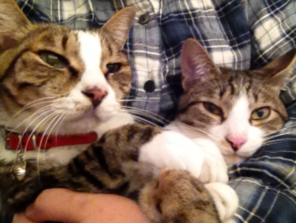 A17c9aaa61e80a1bf71d0d850af4e5baa9800bbd