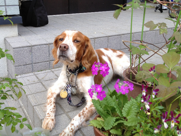 A17c9aaa61e80a1bf71d0d850af4e5baa9800bbd