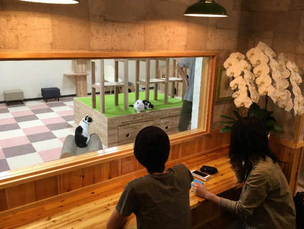 A17c9aaa61e80a1bf71d0d850af4e5baa9800bbd