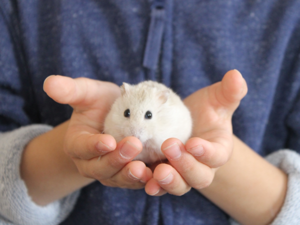 A17c9aaa61e80a1bf71d0d850af4e5baa9800bbd