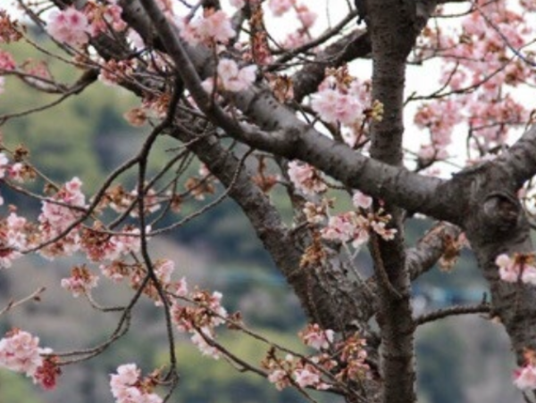 A17c9aaa61e80a1bf71d0d850af4e5baa9800bbd