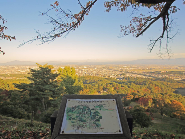 A17c9aaa61e80a1bf71d0d850af4e5baa9800bbd