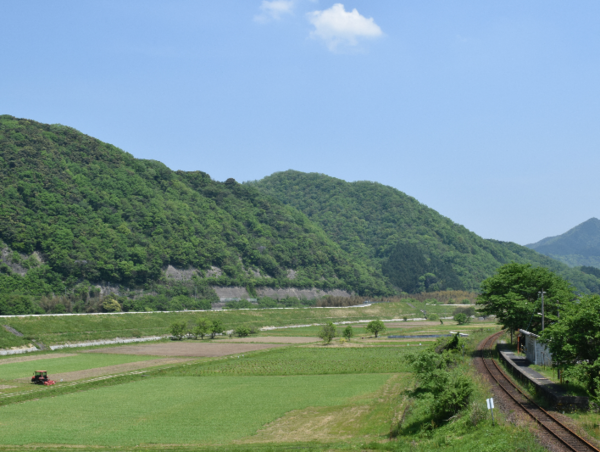 A17c9aaa61e80a1bf71d0d850af4e5baa9800bbd