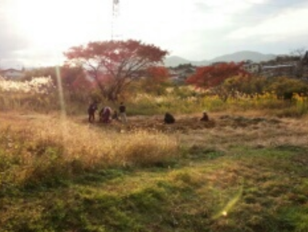 A17c9aaa61e80a1bf71d0d850af4e5baa9800bbd