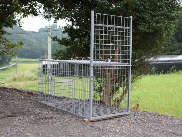 A17c9aaa61e80a1bf71d0d850af4e5baa9800bbd