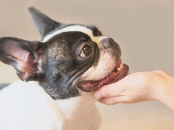 A17c9aaa61e80a1bf71d0d850af4e5baa9800bbd