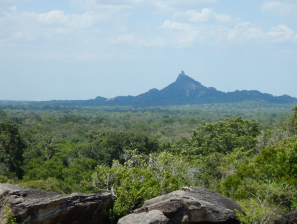 A17c9aaa61e80a1bf71d0d850af4e5baa9800bbd