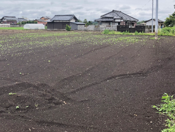 A17c9aaa61e80a1bf71d0d850af4e5baa9800bbd