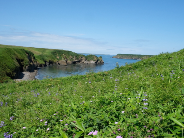 A17c9aaa61e80a1bf71d0d850af4e5baa9800bbd