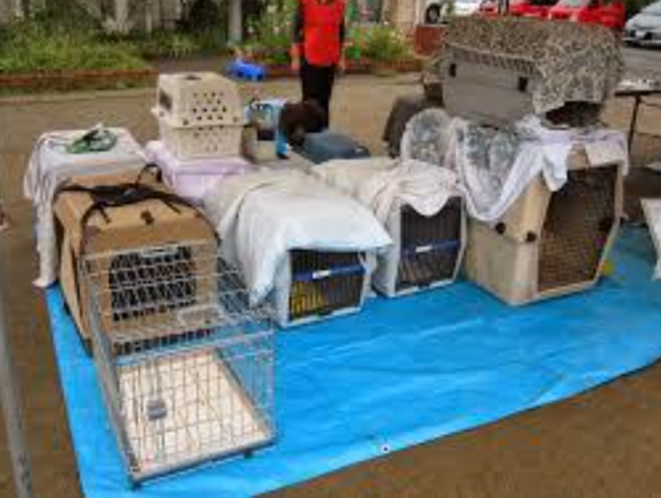 A17c9aaa61e80a1bf71d0d850af4e5baa9800bbd