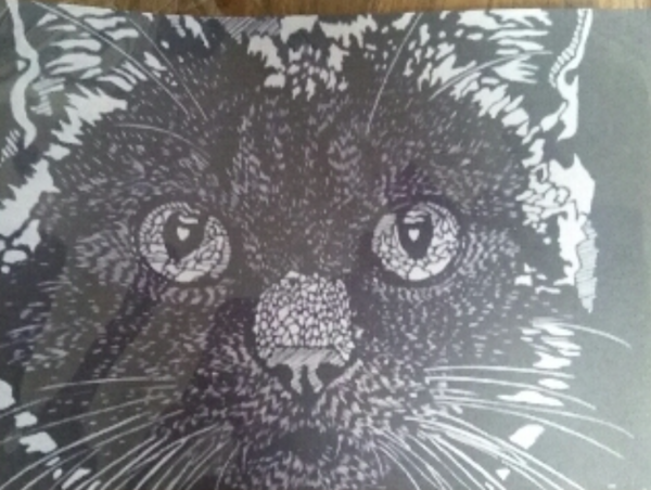 A17c9aaa61e80a1bf71d0d850af4e5baa9800bbd