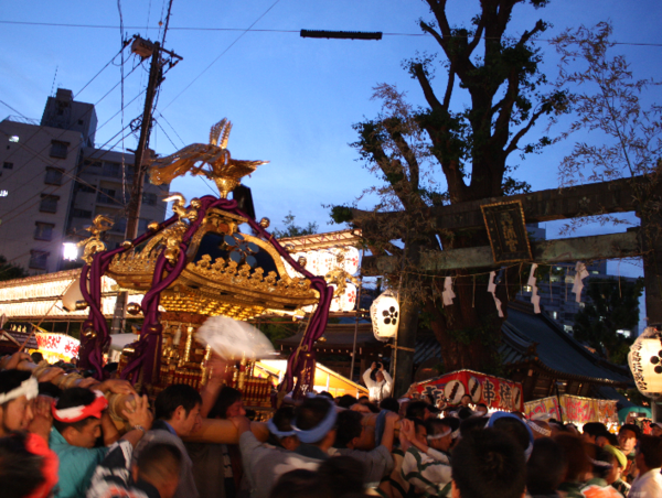 A17c9aaa61e80a1bf71d0d850af4e5baa9800bbd