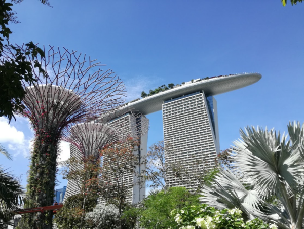 A17c9aaa61e80a1bf71d0d850af4e5baa9800bbd