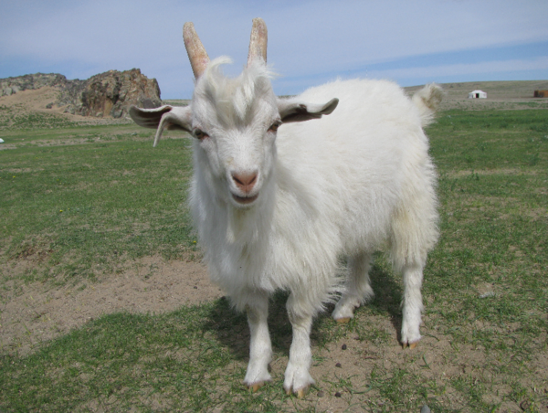 A17c9aaa61e80a1bf71d0d850af4e5baa9800bbd