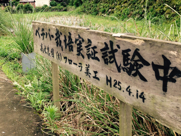 A17c9aaa61e80a1bf71d0d850af4e5baa9800bbd