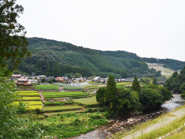 A17c9aaa61e80a1bf71d0d850af4e5baa9800bbd