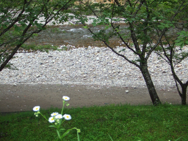 A17c9aaa61e80a1bf71d0d850af4e5baa9800bbd