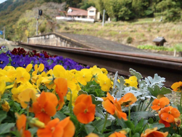 A17c9aaa61e80a1bf71d0d850af4e5baa9800bbd