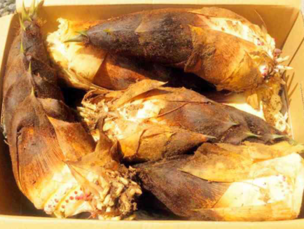 A17c9aaa61e80a1bf71d0d850af4e5baa9800bbd