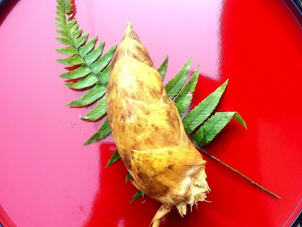 A17c9aaa61e80a1bf71d0d850af4e5baa9800bbd