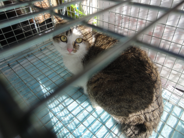 A17c9aaa61e80a1bf71d0d850af4e5baa9800bbd