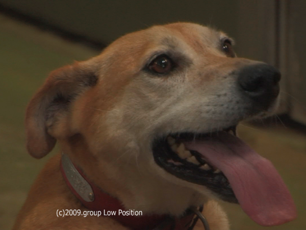 A17c9aaa61e80a1bf71d0d850af4e5baa9800bbd