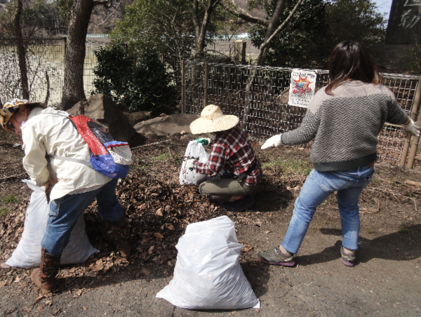 A17c9aaa61e80a1bf71d0d850af4e5baa9800bbd