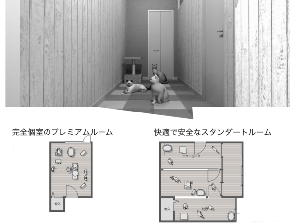 A17c9aaa61e80a1bf71d0d850af4e5baa9800bbd